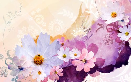 韩国花卉背景图片