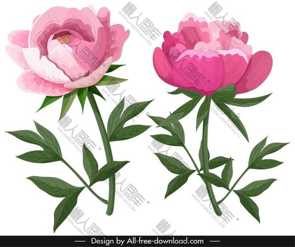 粉色花卉装饰图1